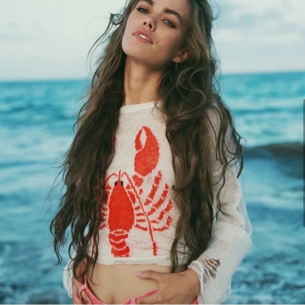 🎁Like New Wildfox Women's Lobster Genesis Sweater- XS